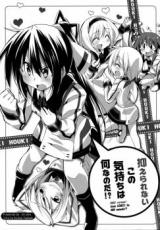 IS dj - Osaerarenai Kono Kimochi wa Nani nano da!?