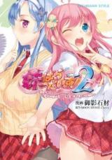 Imouto Paradise! 2 - Onii-chan to 5-nin no Imouto no Motto! Ecchi Shimakuri na Mainichi