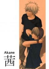 Hikaru no Go dj - Akane