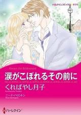 Namida ga Koboreru Sono Mae ni