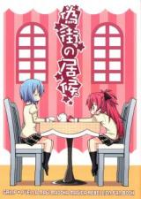 Mahou Shoujo Madoka Magica dj - Freeloader in the False City
