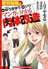 Manga de Wakaru Toushitsu Seigen Diet