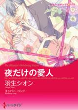 Yoru Dake no Aijin