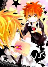 Katekyo Hitman Reborn! dj - V.K