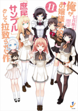 Ore ga Ojou-sama Gakkou ni "Shomin Sample" Toshite Rachirareta Ken (Novel)