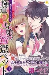 Gokudou 3 Kyoudai no Mitsugoku Pet - Jingi Naki Ijirare Yome