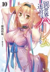 Isekai Meikyuu de Harem o (Novel)