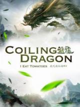 Panlong (Novel)