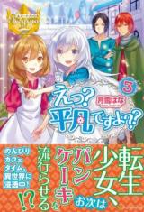 E? Heibon Desu yo?? (Novel)