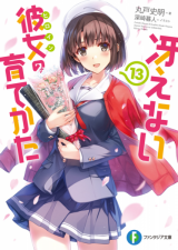 Saenai Kanojo no Sodatekata (Novel)