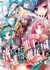 Ochitekita Ryuuou to Horobiyuku Majo no Kuni (Novel)