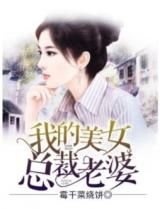 Wo De Meinu Zongcai Laopo (Novel)