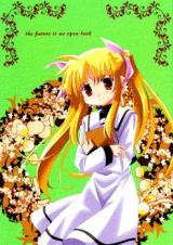 Mahou Shoujo Lyrical Nanoha dj - The Future Is an Open Book