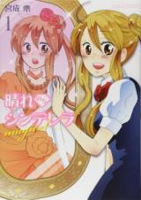 Hare Nochi Cinderella Magical