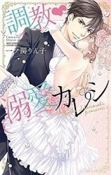 Choukyou Dekiai Kareshi