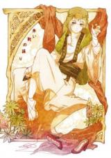 Magi dj - The Red Shoes Dance