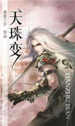 Heavenly Jewel Change (Novel)