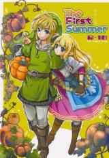 Zelda no Densetsu dj - Hajimete no Natsu.