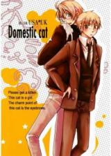 Hetalia dj - Domestic Cat