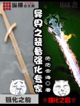Yijie Zhi Zhuangbei Qianghua Zhuanjia (Novel)