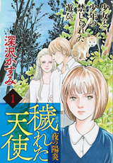 Kegakegareta Tenshi - Yoru no Kagerou