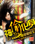 Godly Thief Incarnation (Novel)