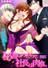 Hisho wa Midarade Shachou wa Nikushoku