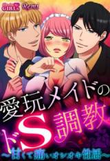 Aigan Maid no de S Choukyou