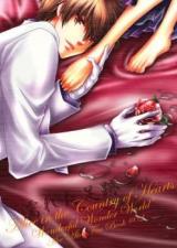 Heart no Kuni no Alice dj - Nureta Ashiato