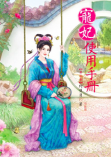 Chongfei Manual (Novel)