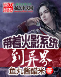 In a Different World With the Naruto System (Novel)