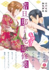 Wakadanna-sama no Midarana Iitsuke