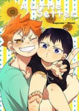 Haikyu!! dj - A Little Setter