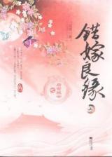 Cuo Jia Liangyuan Zhi Hou Gong Yiyun (Novel)