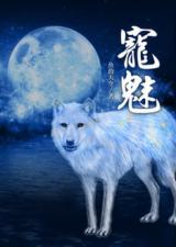 The Charm of Soul Pets (Novel)
