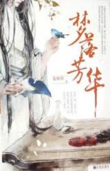 Falling Dreams of Fang Hua (Novel)