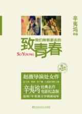 The Fading Away of Our Youth (Novel)