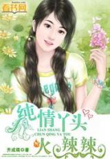 A Naive Short-tempered Girl (Novel)
