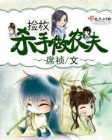 Assassin Farmer (Novel)