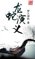 Romance of Dragons and Snakes (Novel)