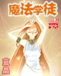 Magic Apprentice (Novel)
