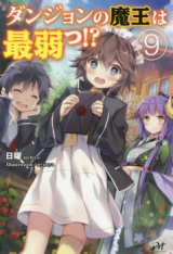 The Dungeon's Demon Lord is the Weakest (Novel)