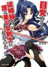 I Awoke to Find I Was the Girl Swordsman That Protects My Cousin (Novel)