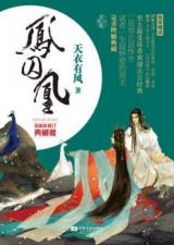 A Tale of Two Phoenixes (Novel)