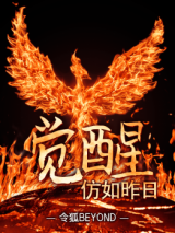 Awakening (Novel)