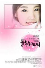 Love Can Do Miracles (Novel)