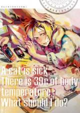 Haikyu!! dj - 39 Do no Neko