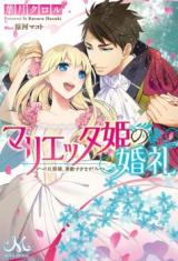 Marietta-hime no Konrei (Novel)