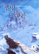 Invisible Dragon (Novel)
