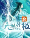 Invincible Level Up (Novel)